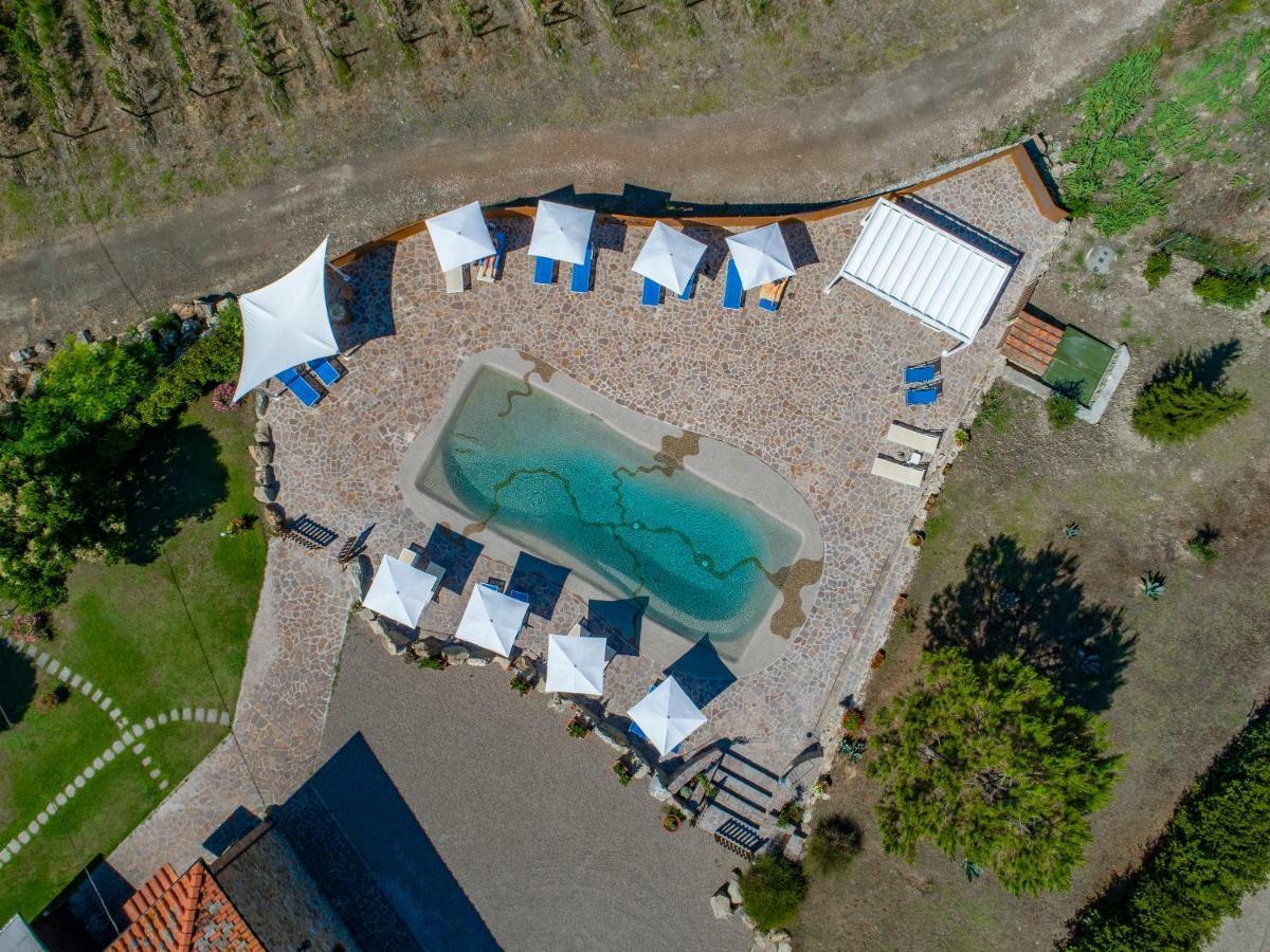 Casa Vacanza Le Case San Gimignano Eksteriør billede